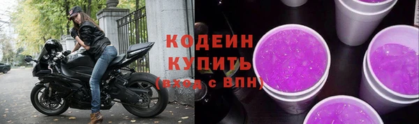 гашик Няндома