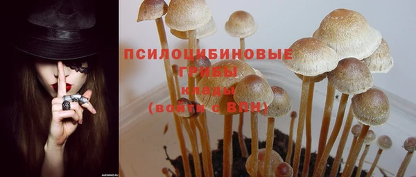 ПСИЛОЦИБИНОВЫЕ ГРИБЫ Нязепетровск