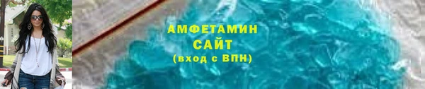 гашик Няндома