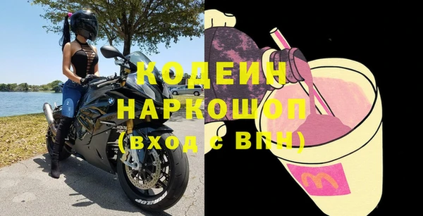 гашик Няндома