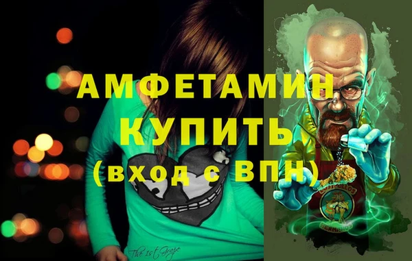 гашик Няндома