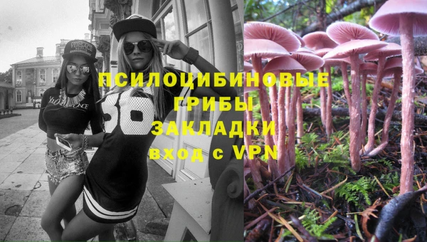 гашик Няндома