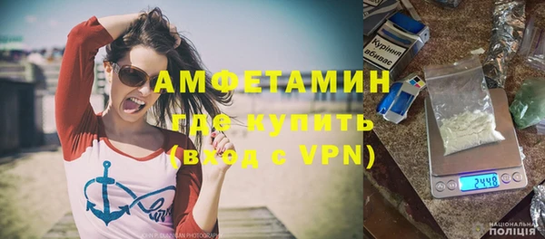 гашик Няндома