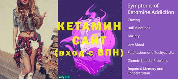 гашик Няндома