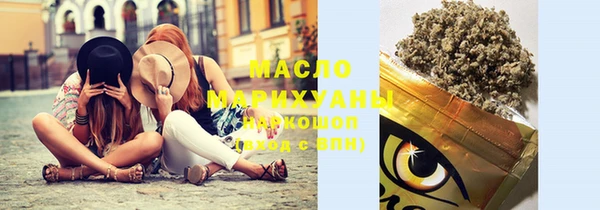гашик Няндома