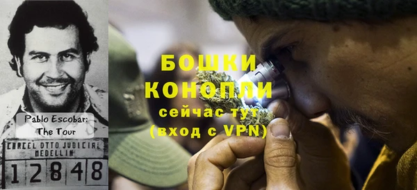 гашик Няндома