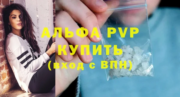 гашик Няндома
