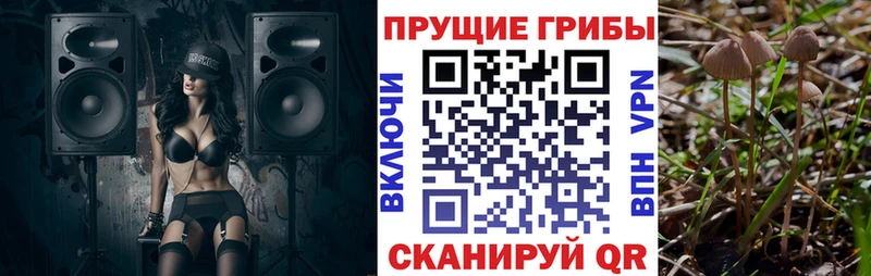 Галлюциногенные грибы Cubensis  гидра маркетплейс  Красный Кут 